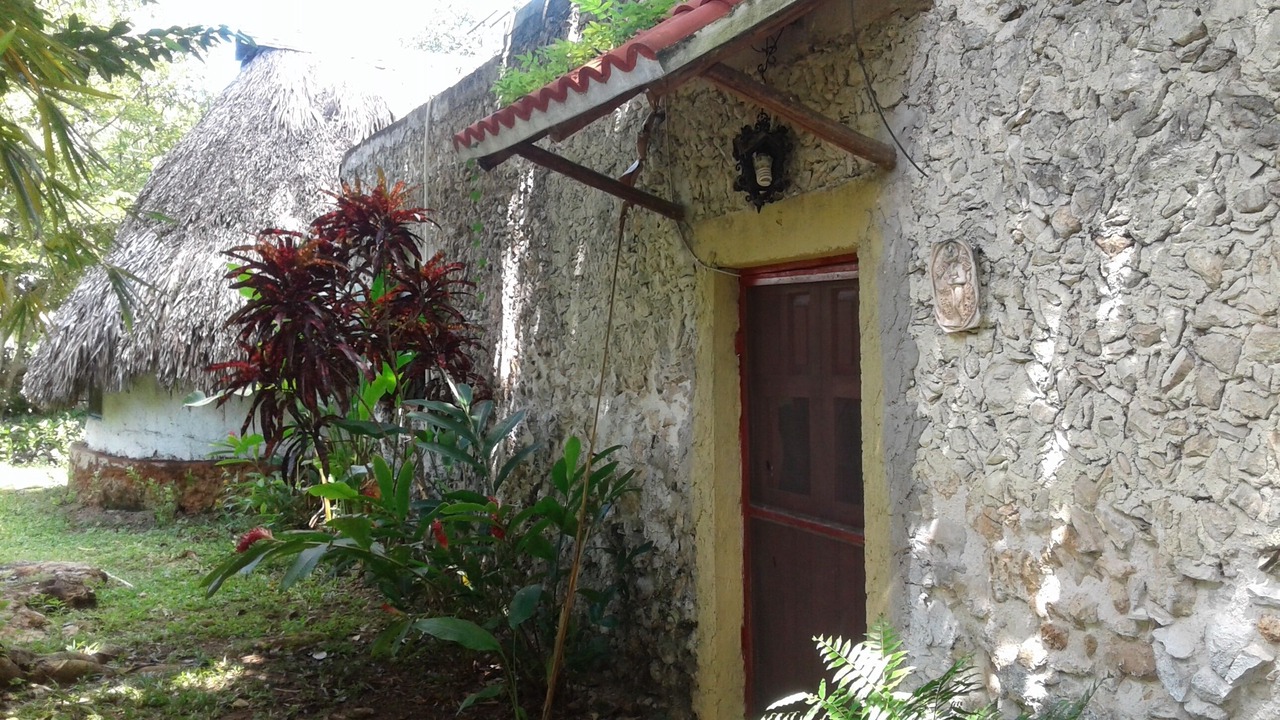 Photo of Outdoor in Tekanto