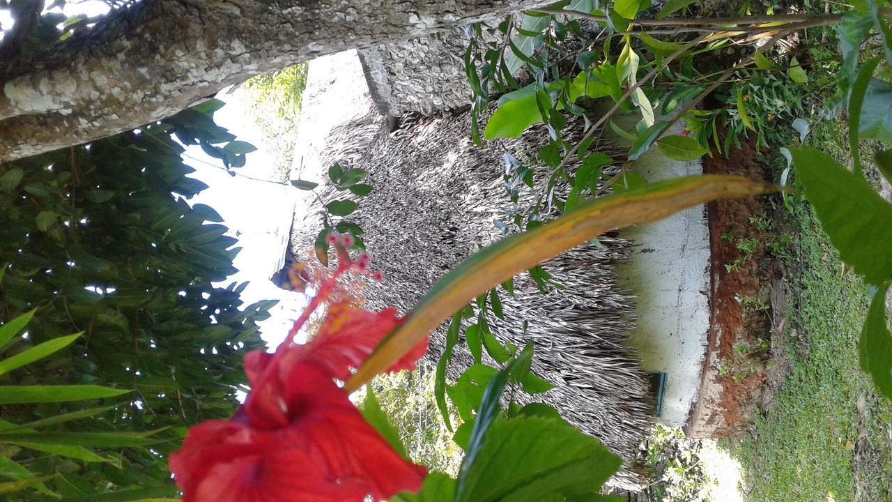 Photo of Outdoor in Tekanto