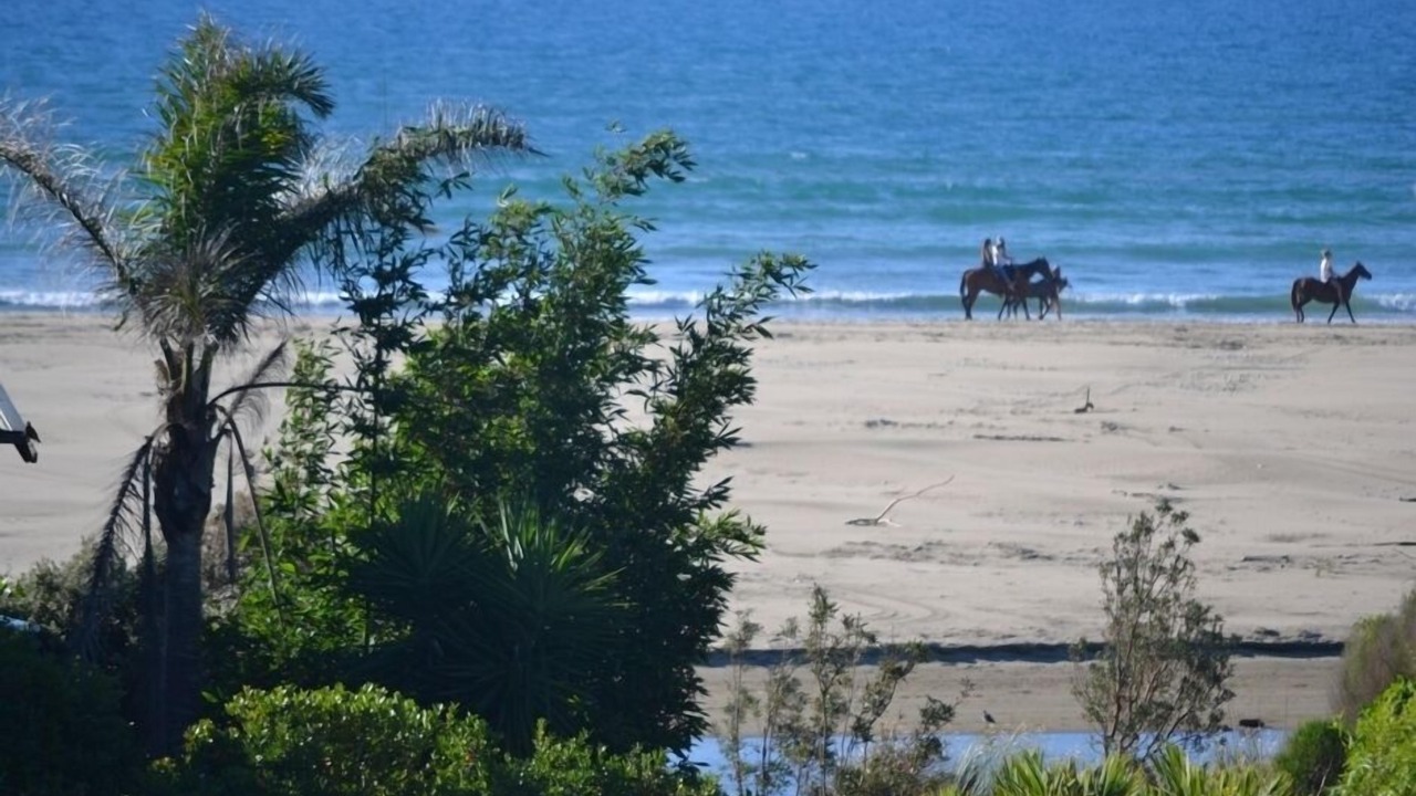 Photo of Others in Ahipara