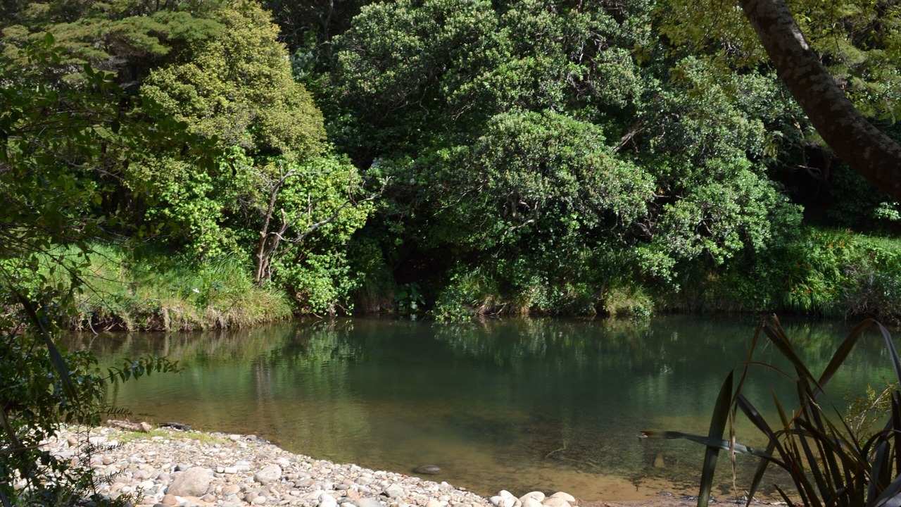 Photo of Outdoor in Te Mata