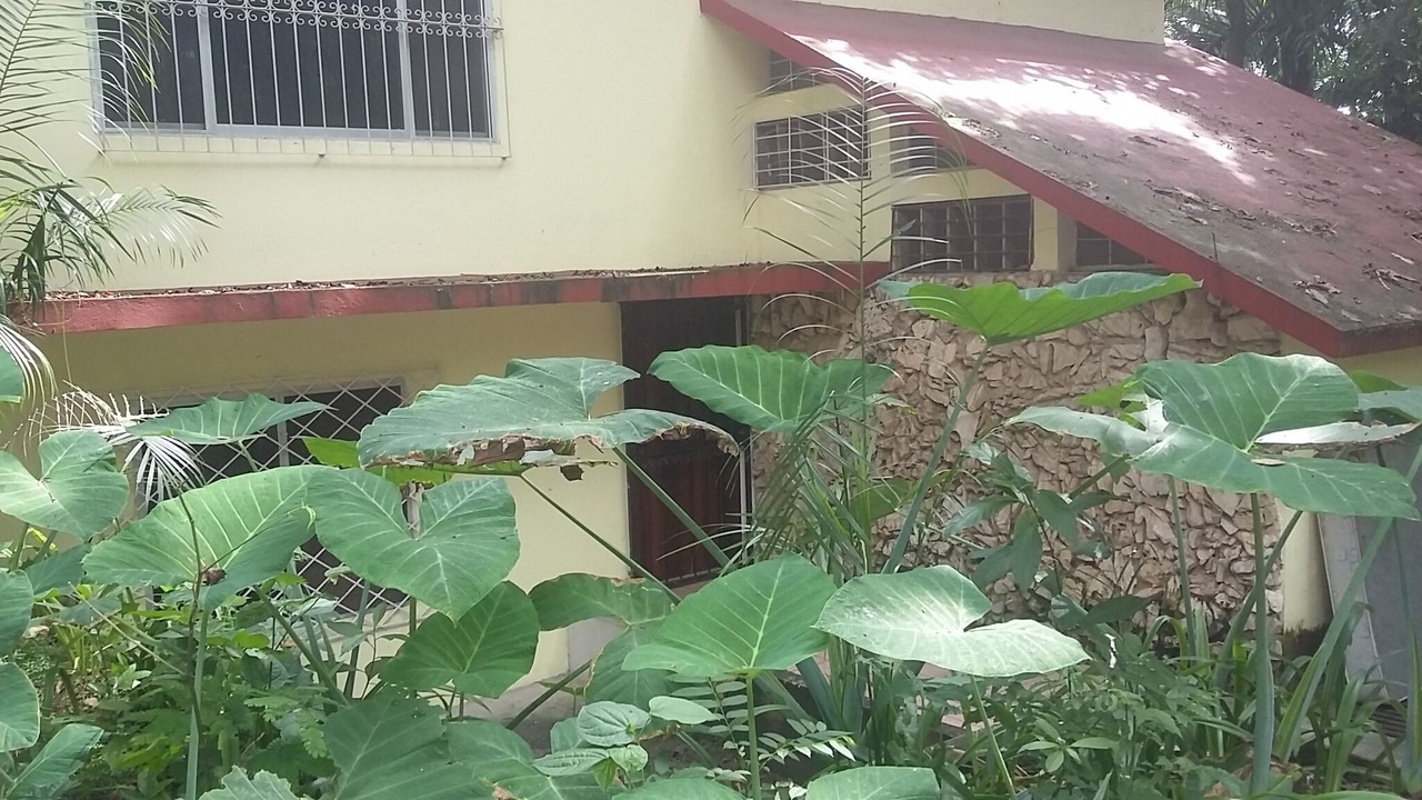 Photo of Outdoor in Palenque