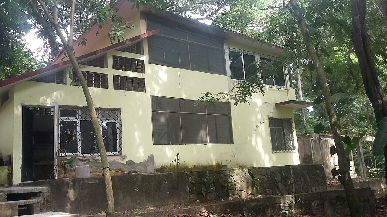 Photo of Outdoor in Palenque