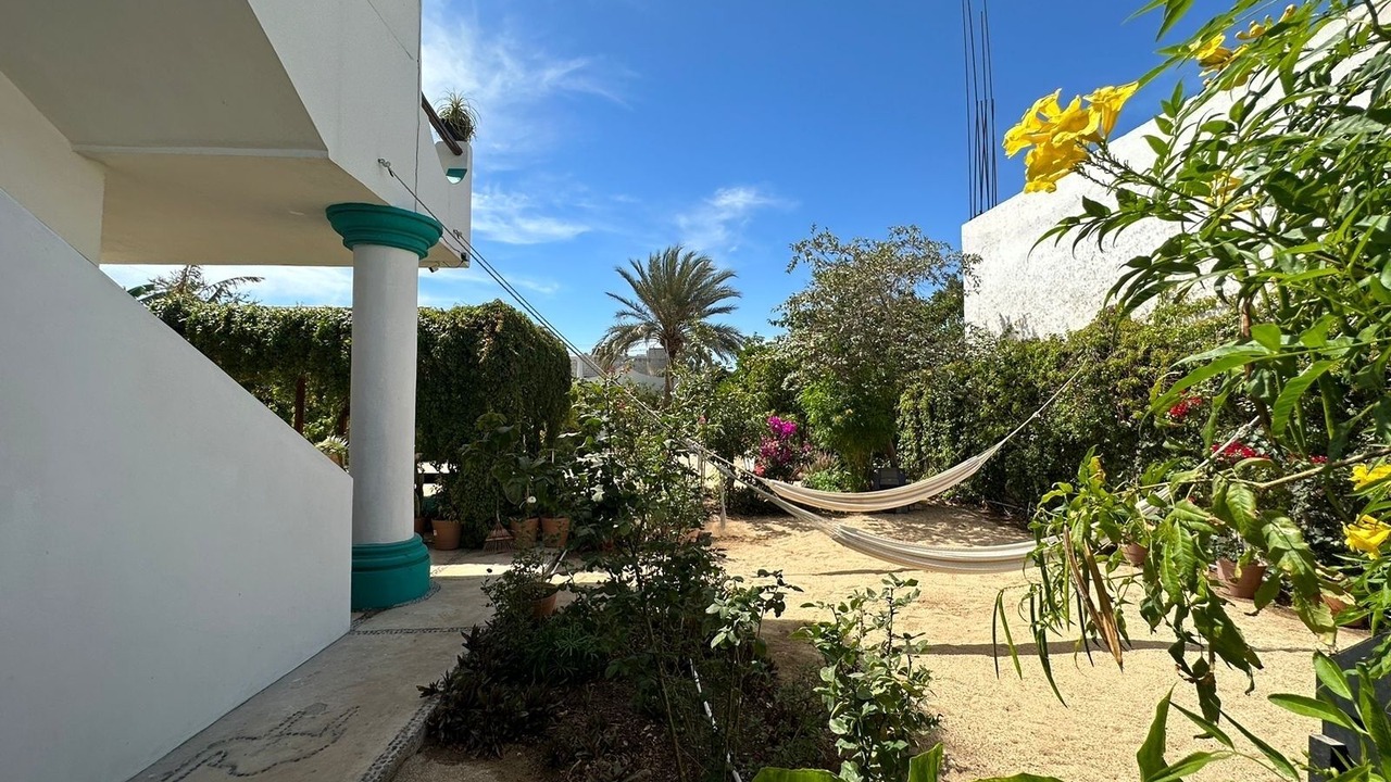 Photo of Outdoor in Downtown Cabo San Lucas