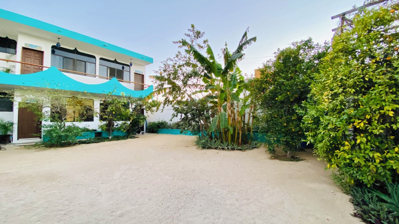 Photo of Outdoor in Downtown Cabo San Lucas