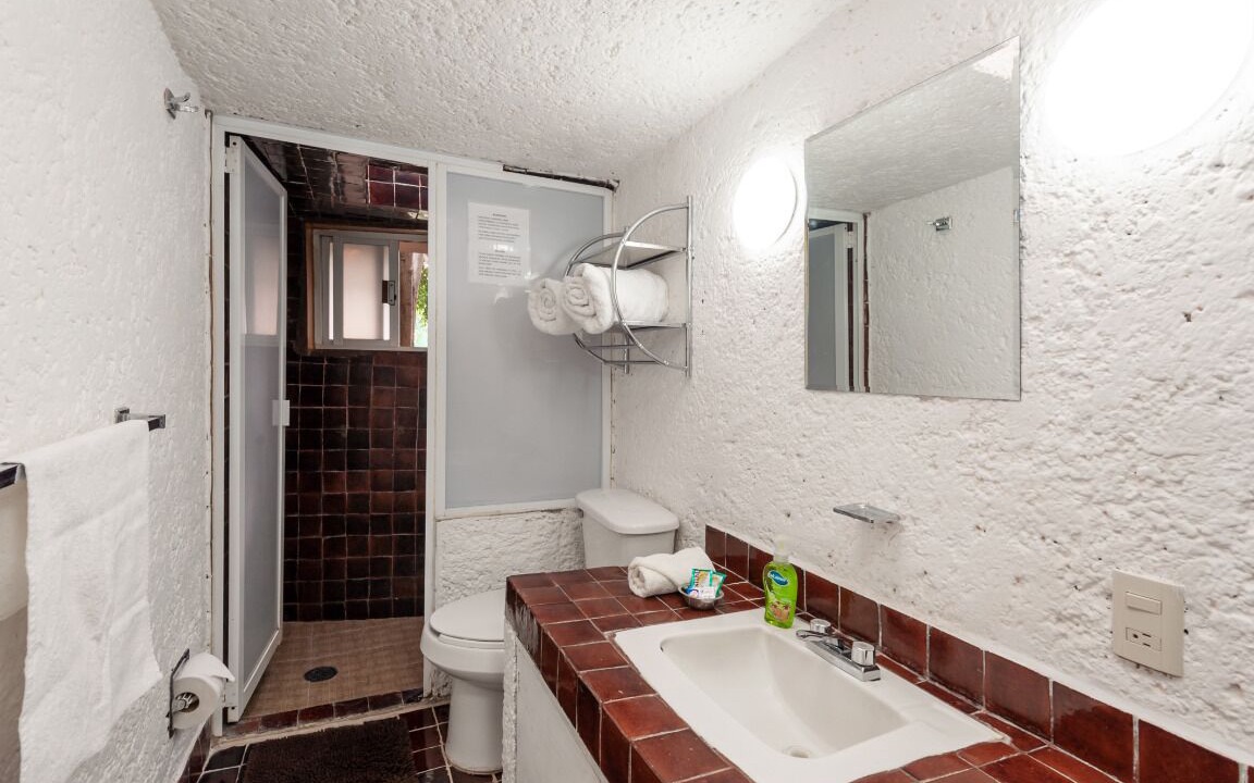 Photo of Bathroom in Coyoacan