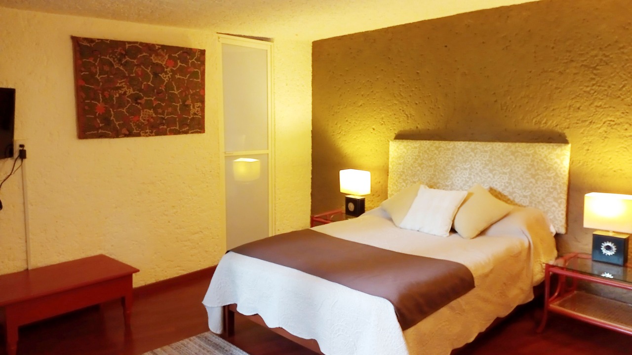 Photo of Bedroom in Coyoacan