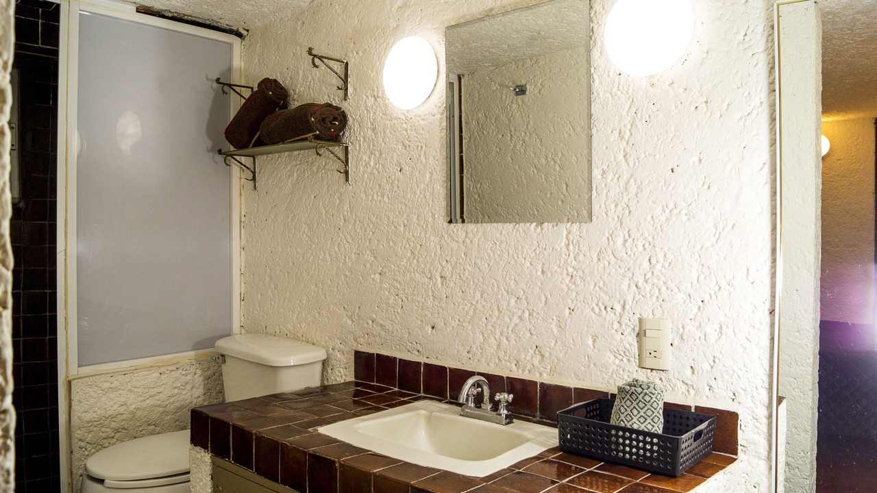 Photo of Bathroom in Coyoacan