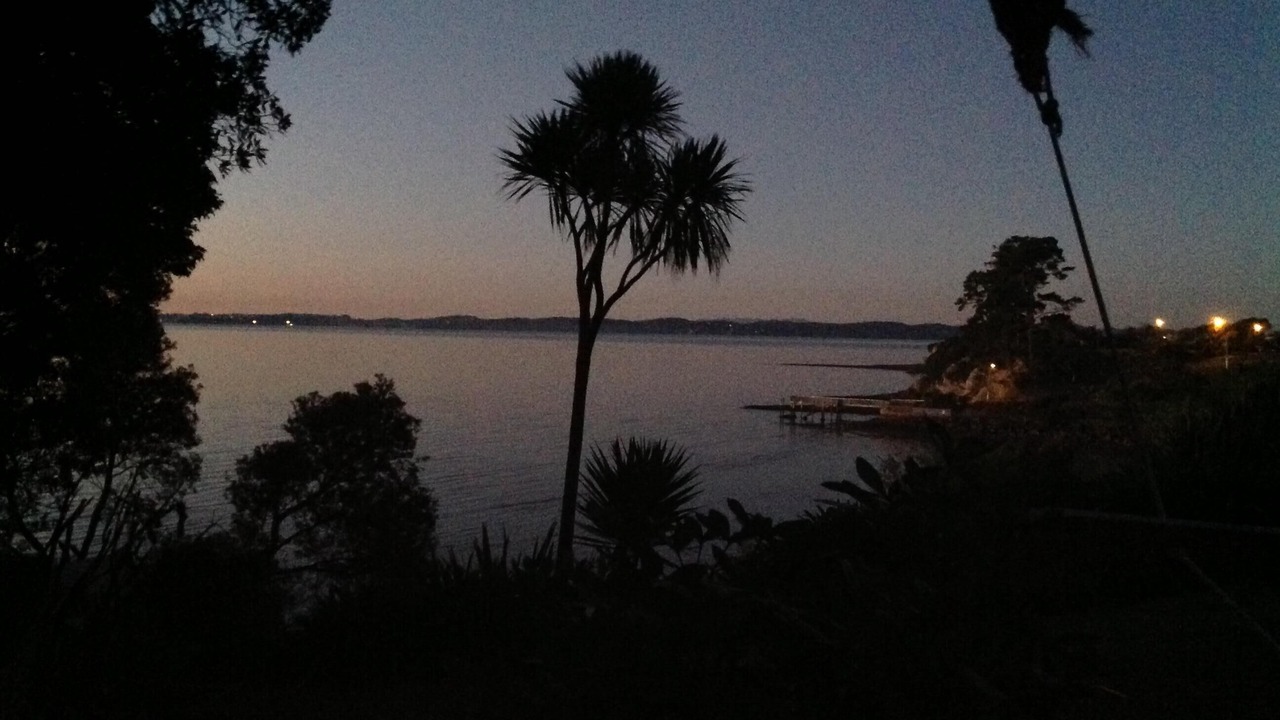 Photo of Others in Beachlands