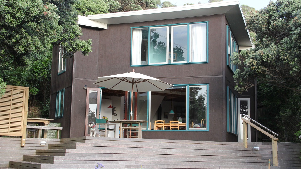 Photo of Outdoor in Piha
