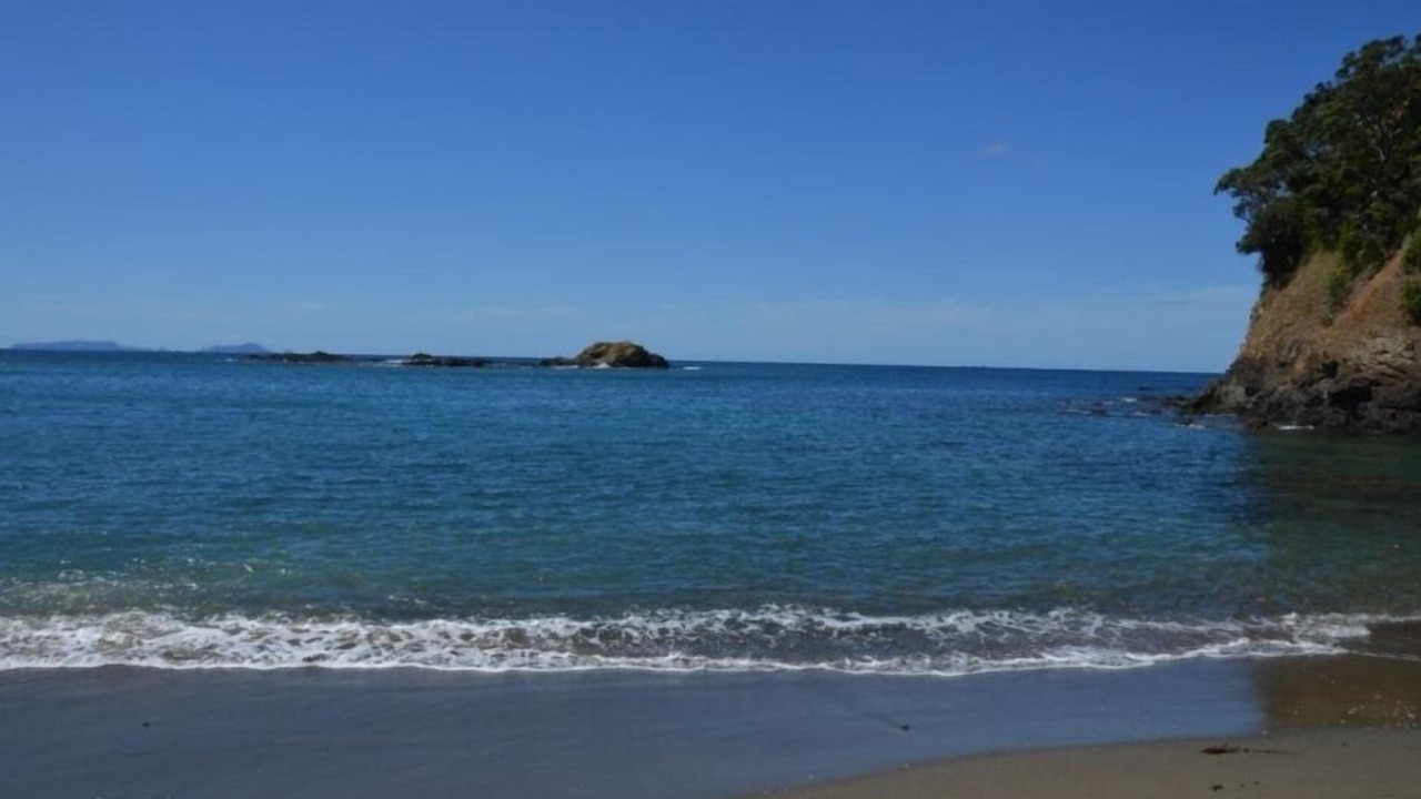 Photo of Others in Whananaki