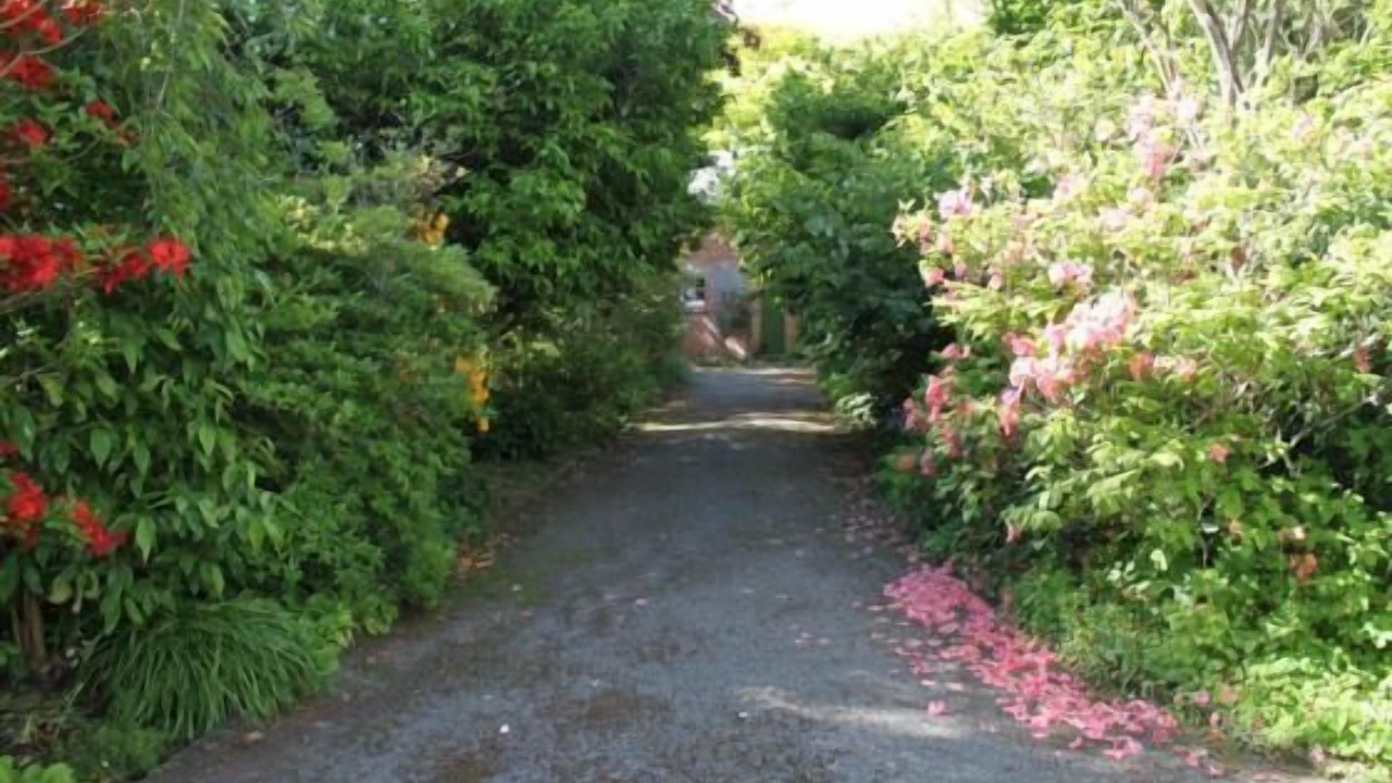 Photo of Others in Otaki