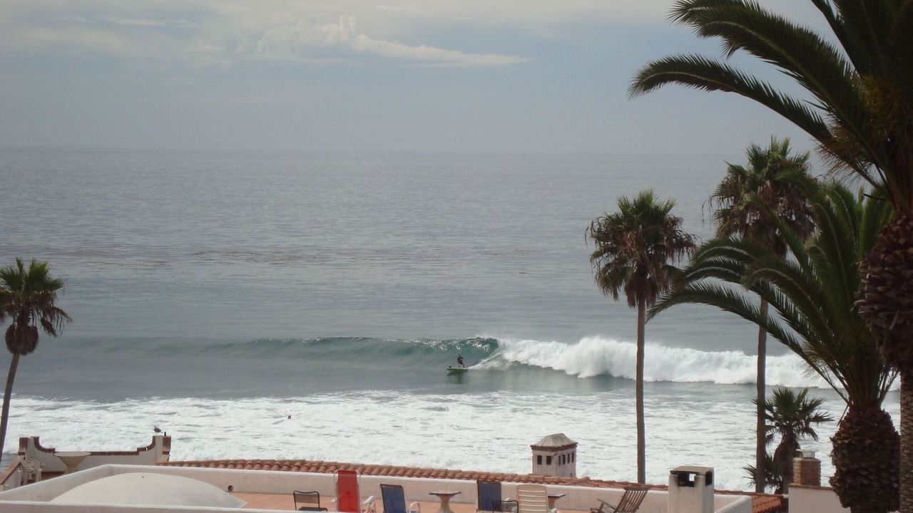 Photo of Others in Las Gaviotas