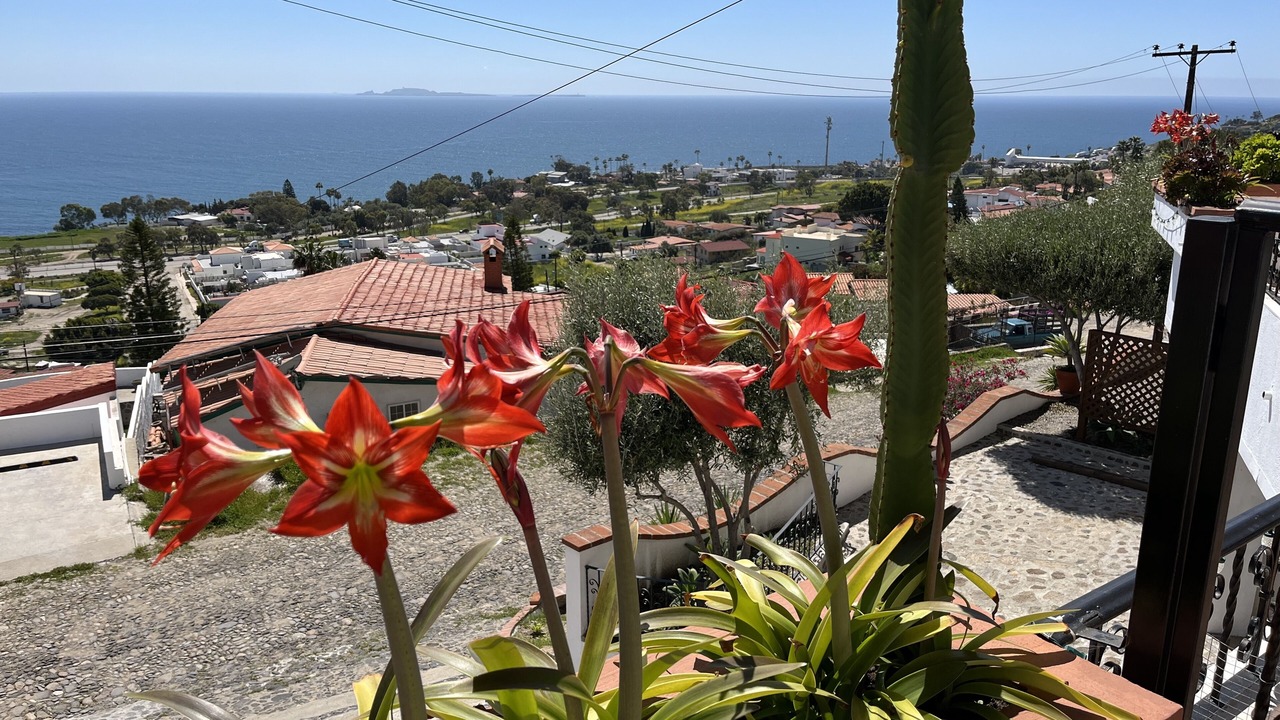 Photo of Outdoor in El Sauzal