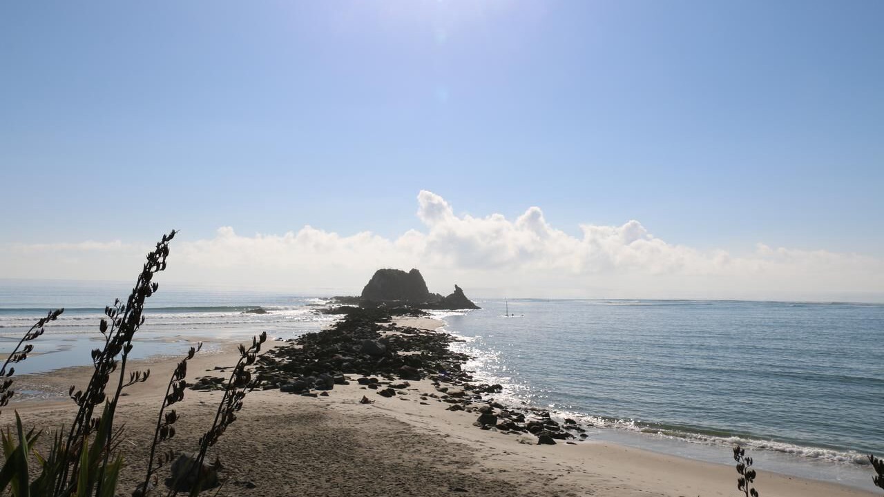 Photo of Others in Mangawhai Heads