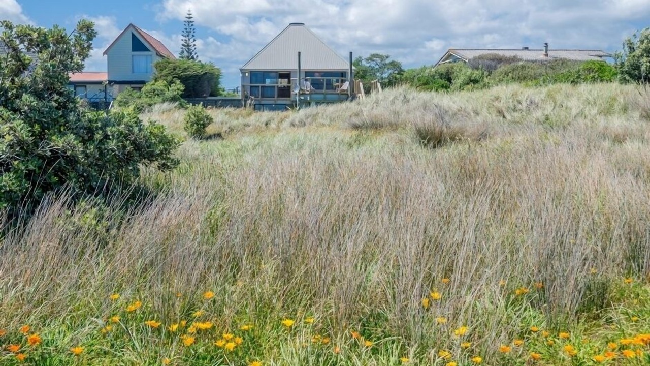 Photo of Others in Te Horo Beach