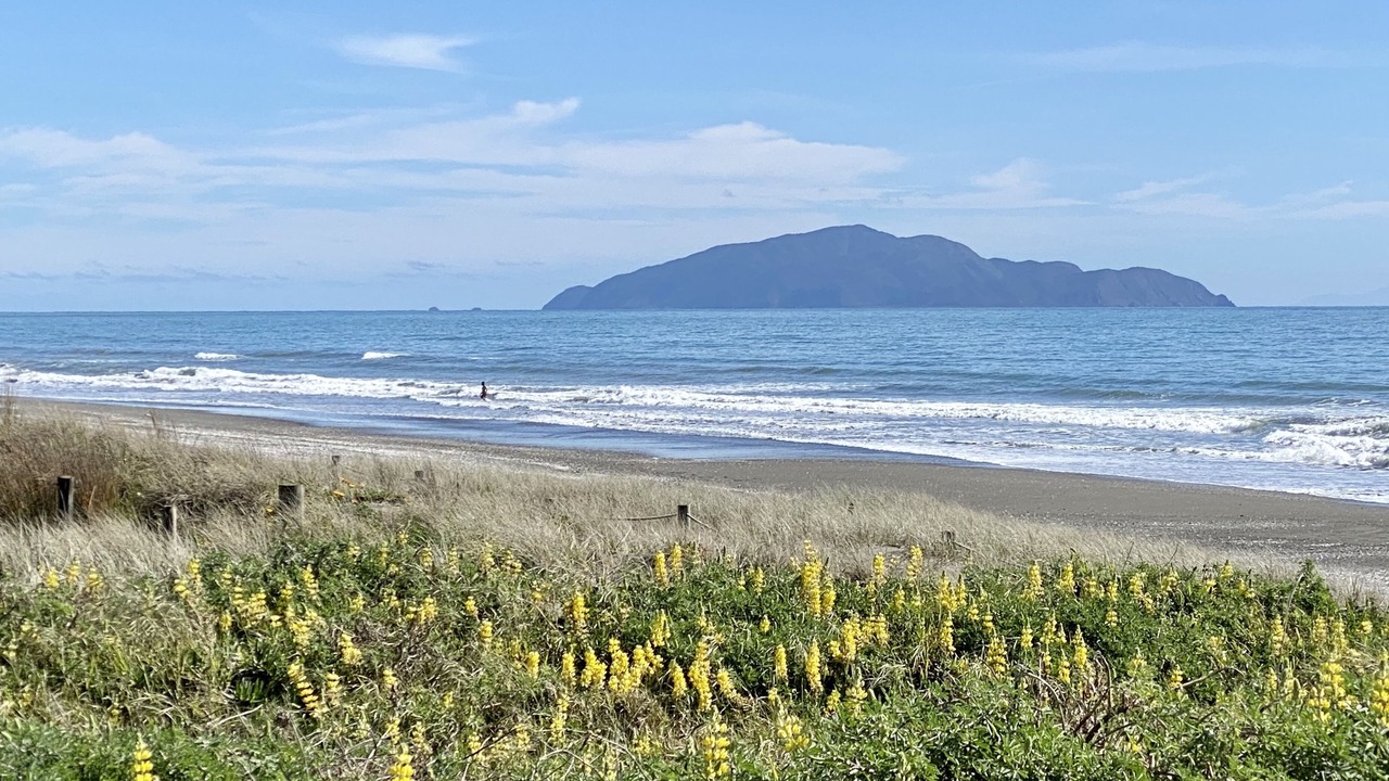 Photo of Others in Otaki