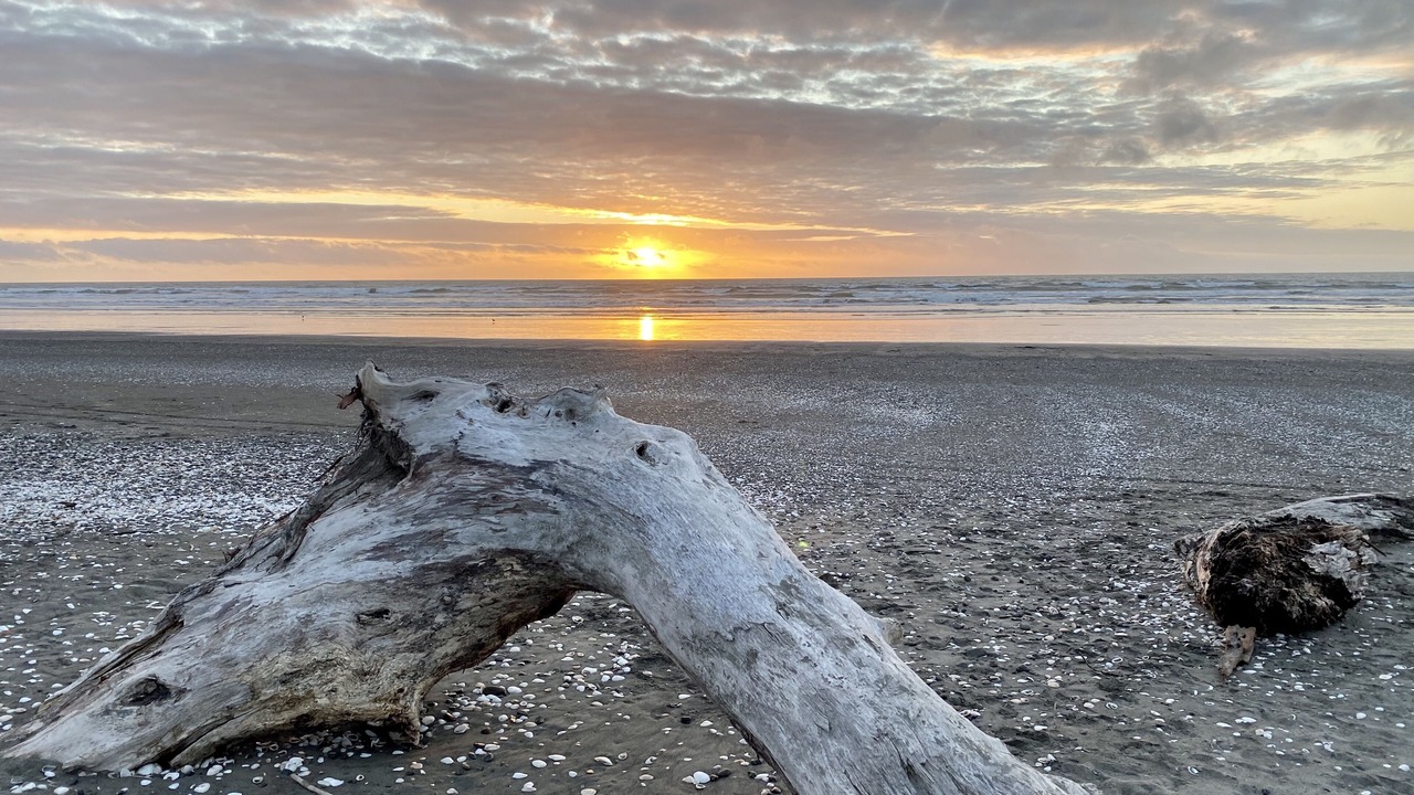 Photo of Others in Otaki
