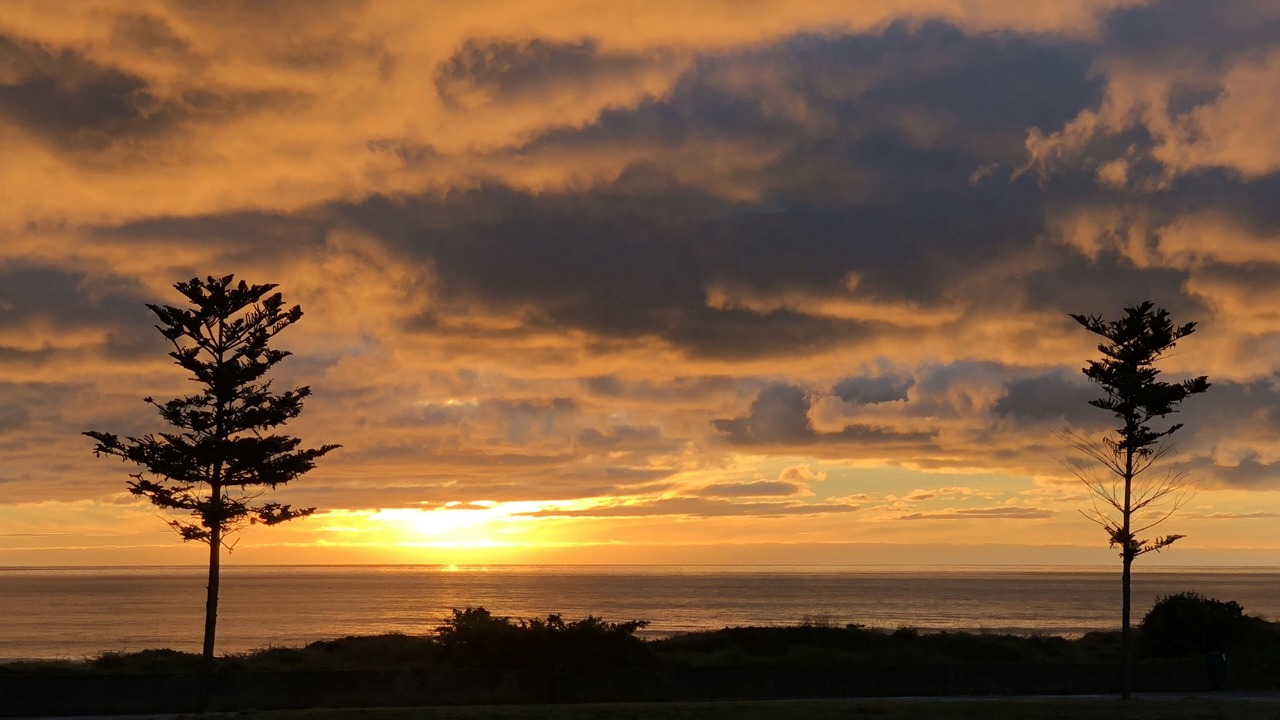 Photo of Others in Otaki