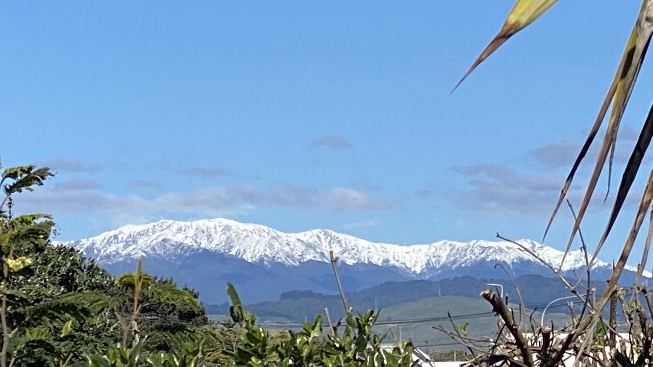 Photo of Others in Otaki