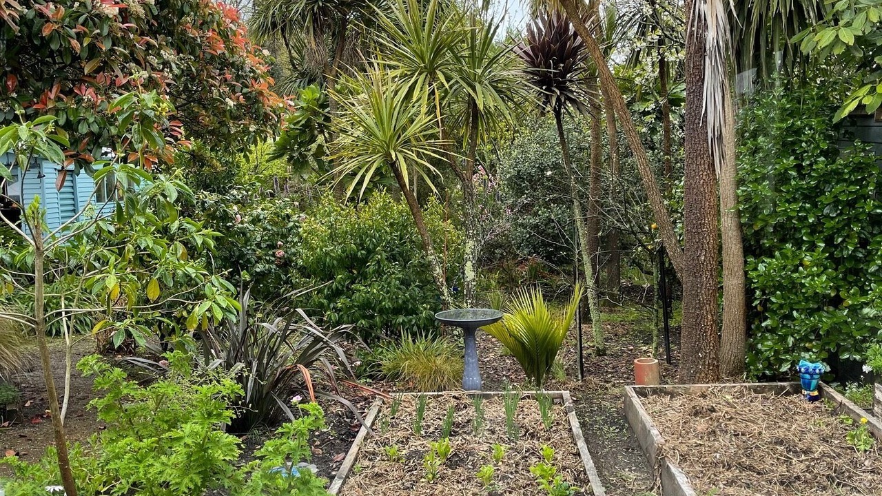 Photo of Outdoor in Pohara