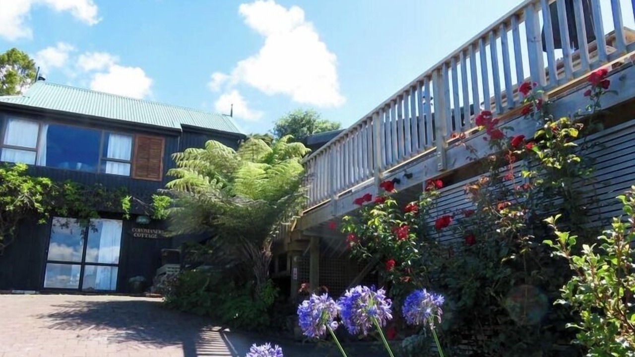 Photo of Outdoor in Coromandel