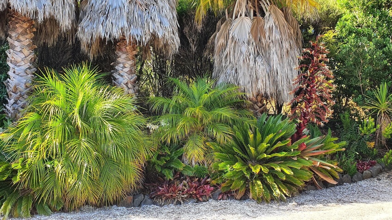 Photo of Outdoor in Rings Beach