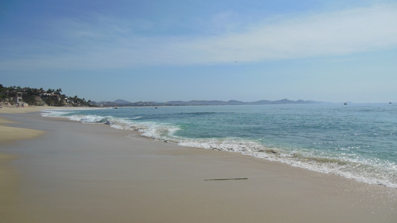 Photo of Others in Palmilla