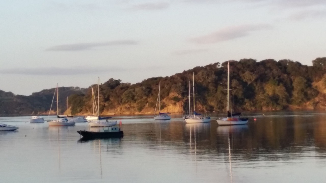 Photo of Others in Mahurangi West