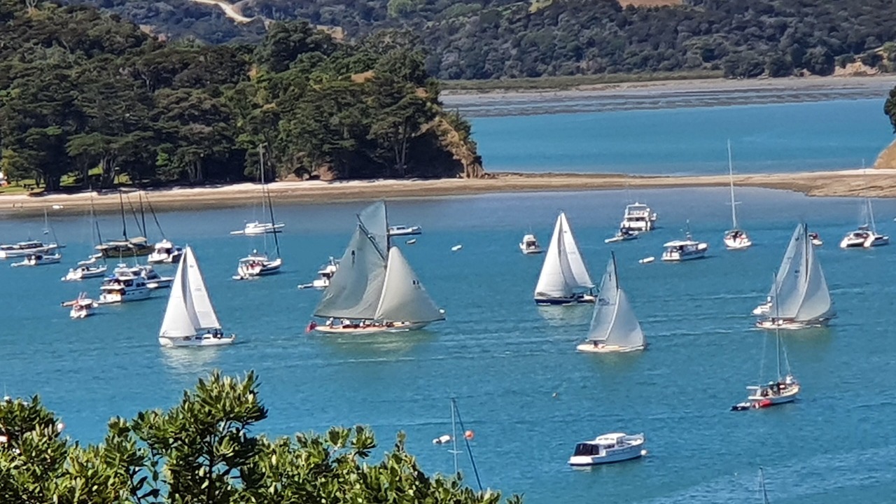 Photo of Others in Mahurangi West