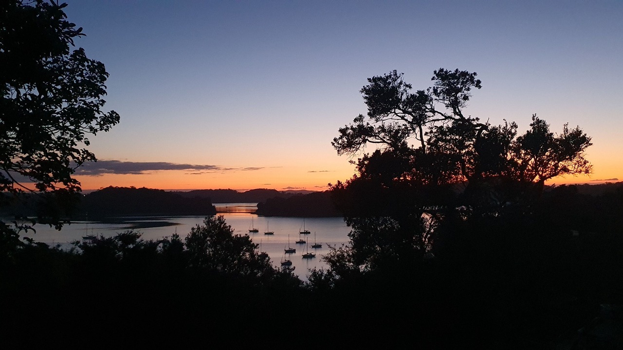 Photo of Others in Mahurangi West