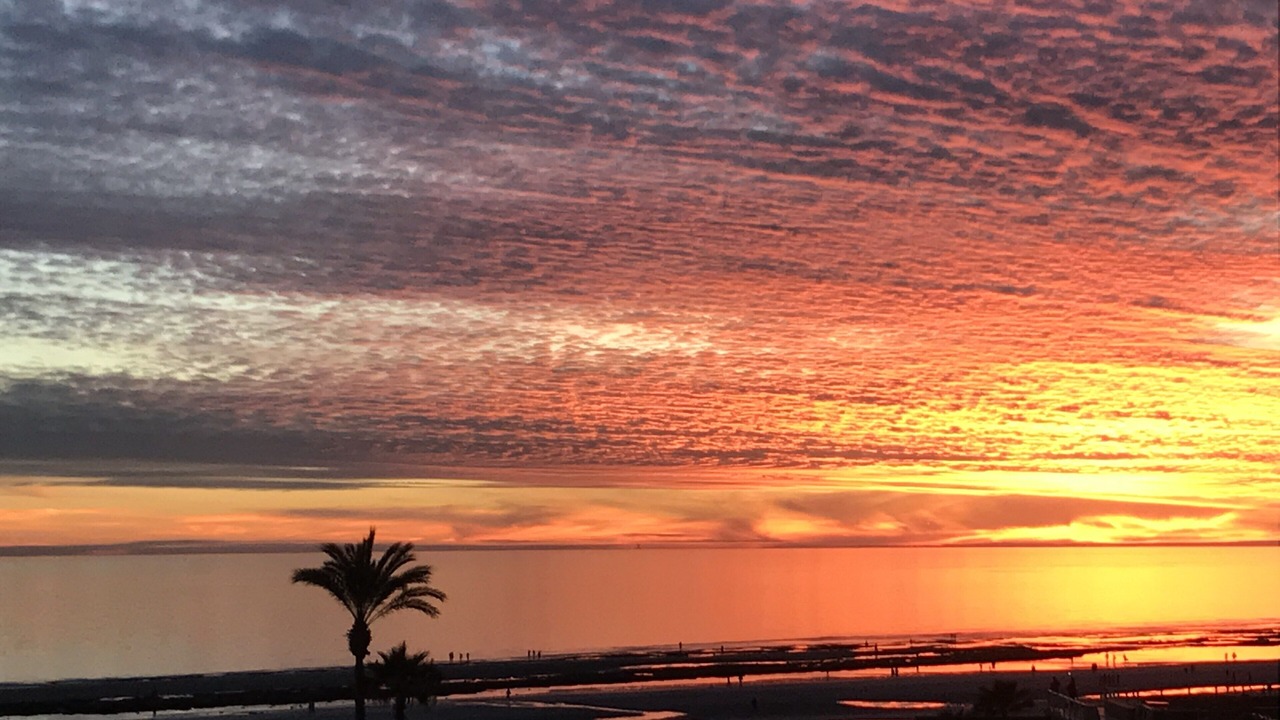 Photo of Others in Puerto Penasco