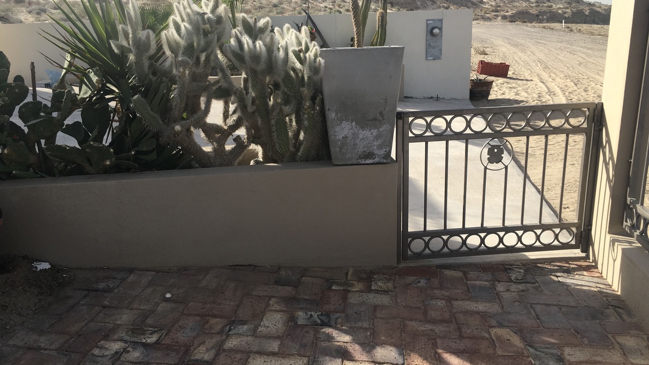 Photo of Others in San Felipe