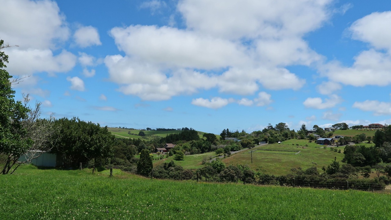 Photo of Outdoor in Helensville