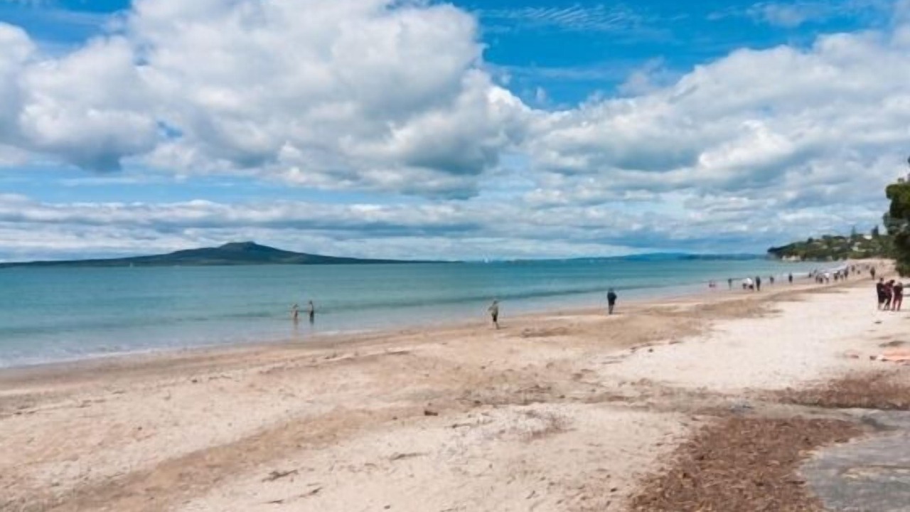Photo of Others in Takapuna
