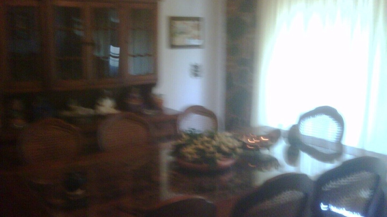 Photo of Others in Palmira