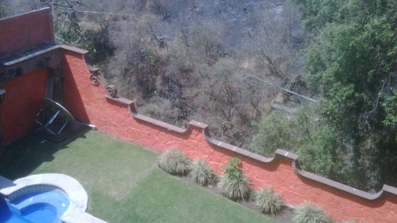 Photo of Outdoor in Palmira