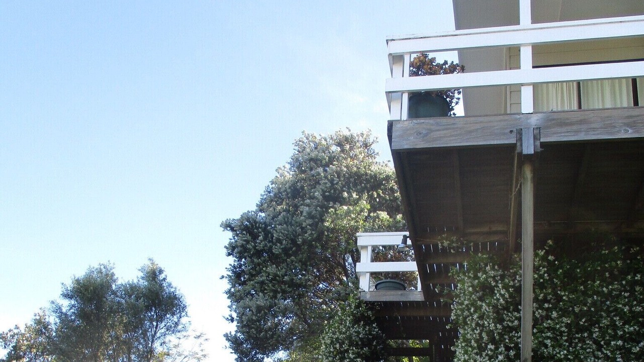 Photo of Outdoor in Oakura