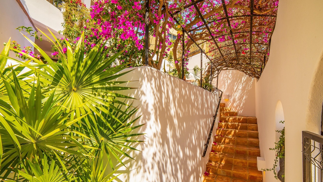 Photo of Outdoor in Pedregal