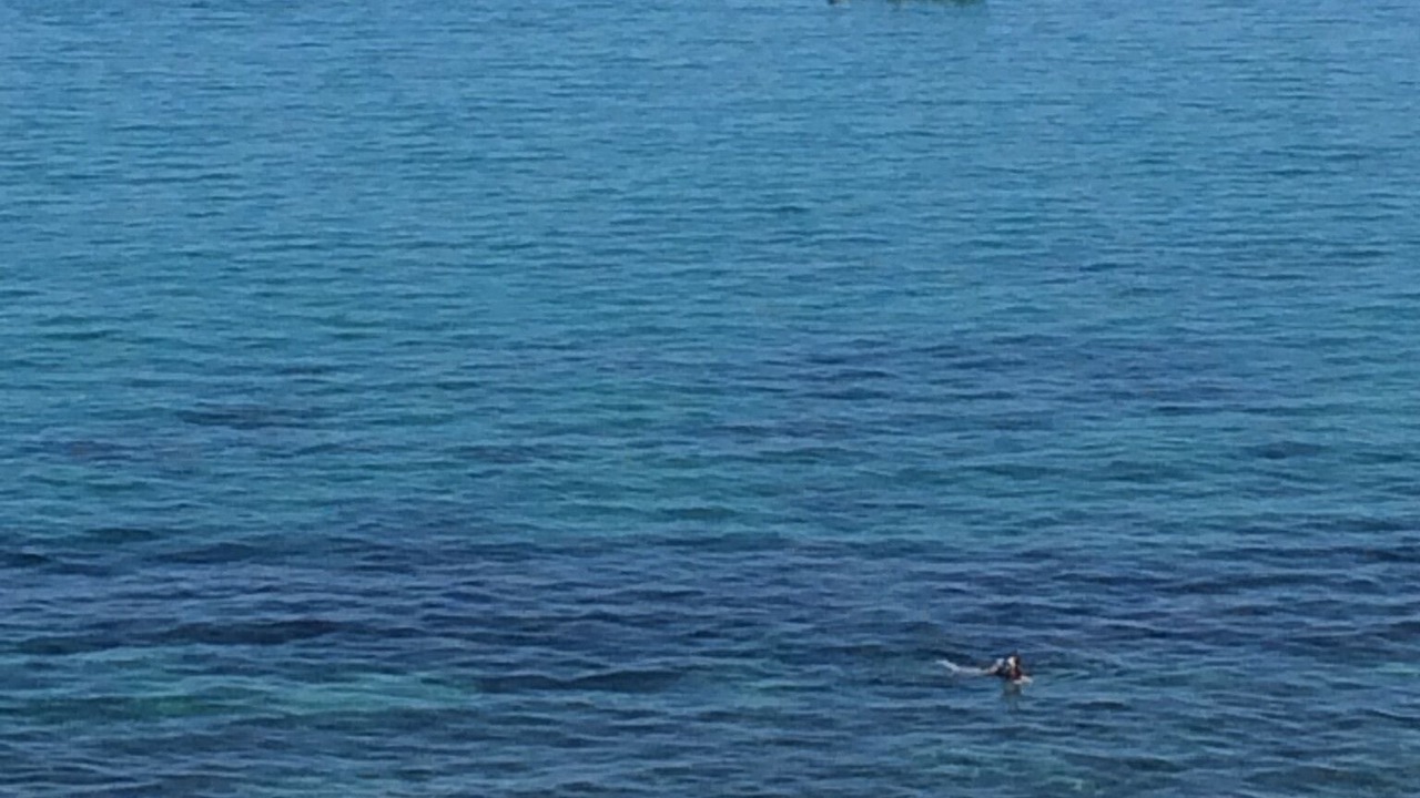 Photo of Others in Buenavista