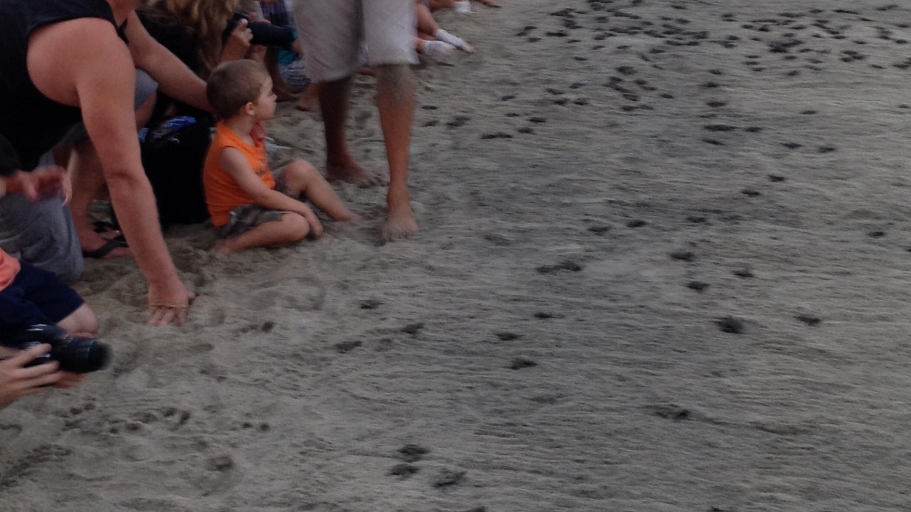 Photo of Others in Buenavista