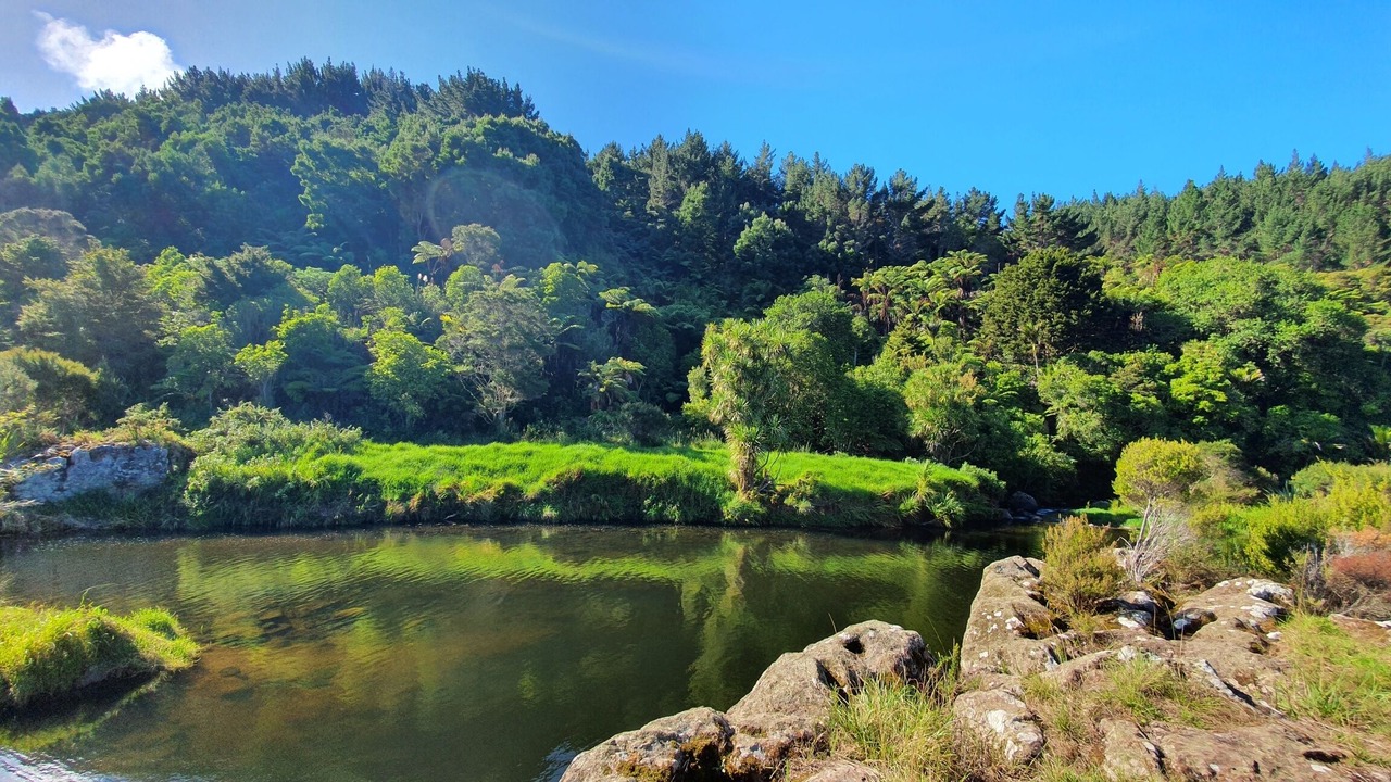 Photo of Others in Kaeo