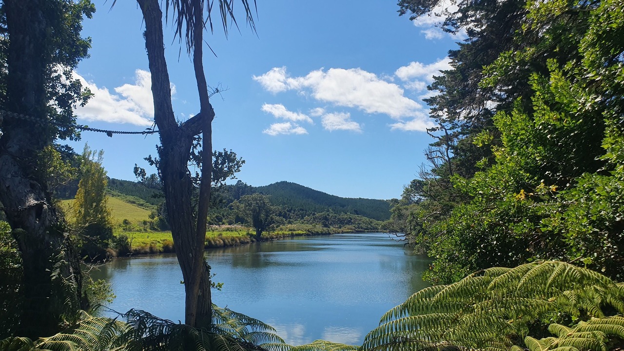 Photo of Others in Kaeo