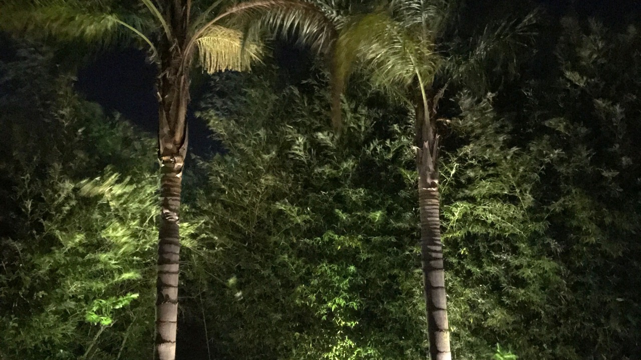 Photo of Outdoor in Cuernavaca