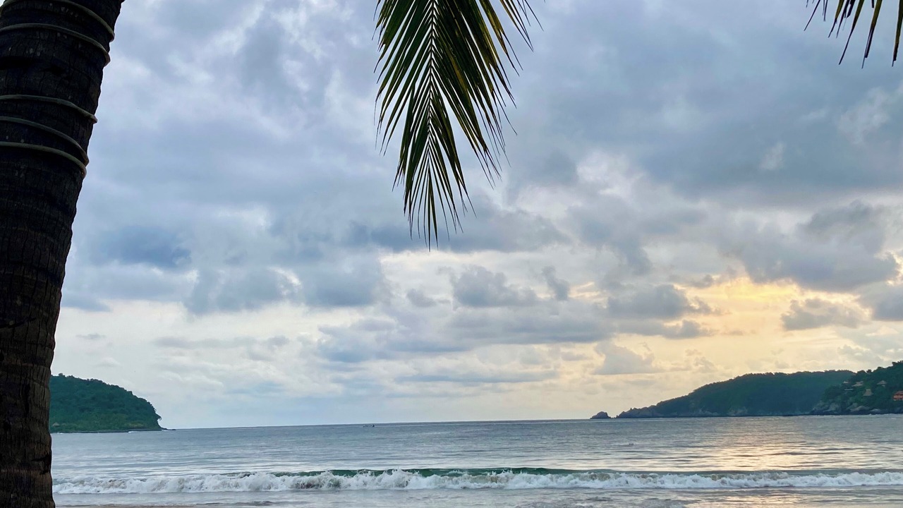 Photo of Others in Playa la Madera