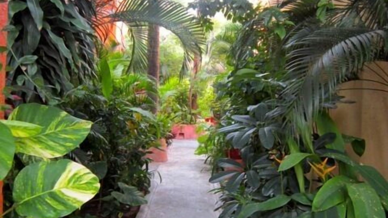 Photo of Outdoor in Playa la Madera