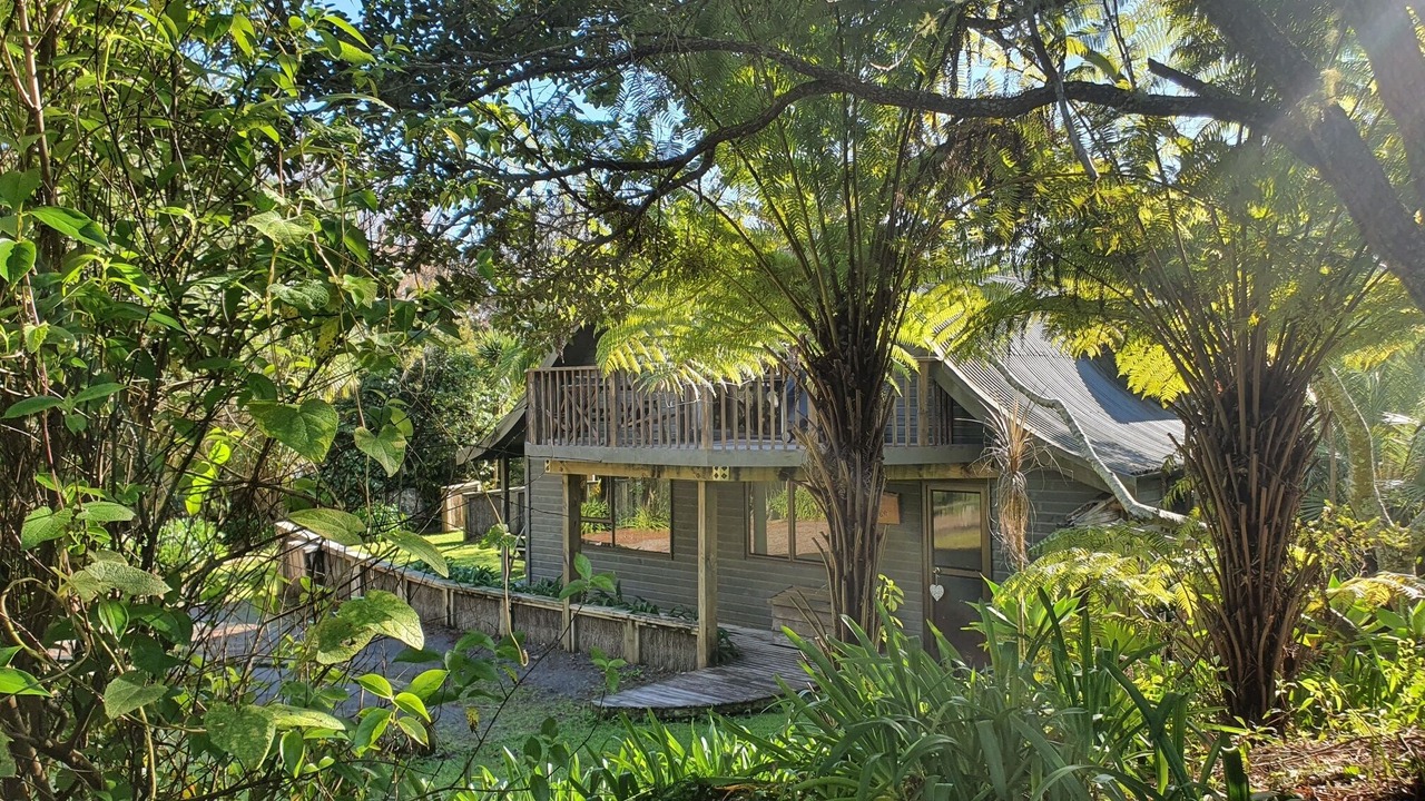 Photo of Outdoor in Kaeo