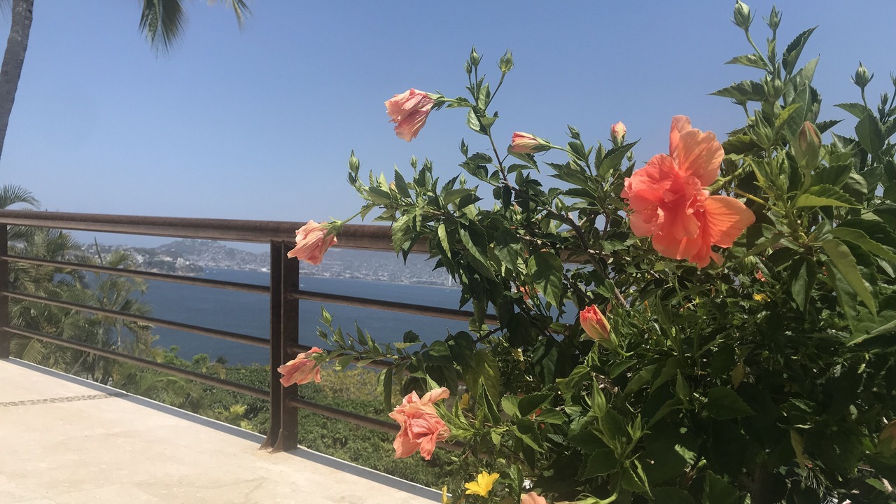 Photo of Outdoor in Las Brisas