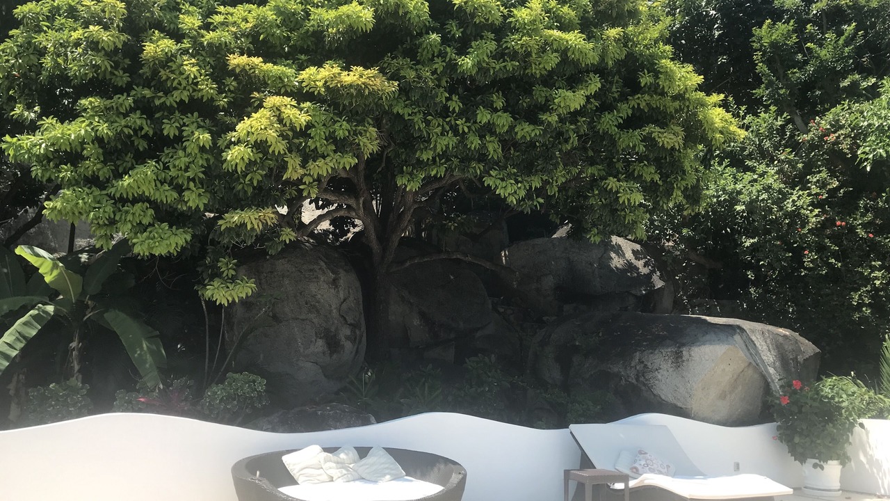 Photo of Outdoor in Las Brisas