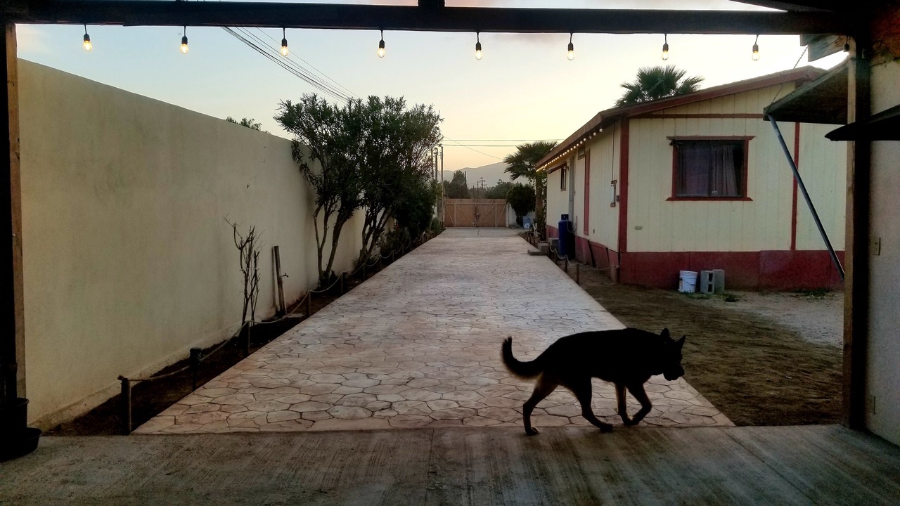 Photo of Outdoor in Ejido El Porvenir