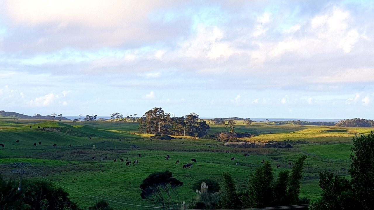 Photo of Others in Houhora